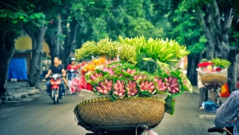 Cẩm nang du lịch Hà Nội 