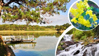 Kinh nghiệm đặt tour và chọn tour cho mùa du lịch cuối năm