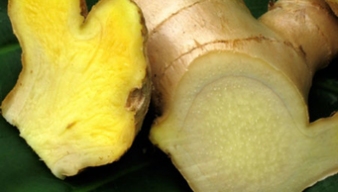 Mẹo trị đau bụng khi đi du lịch