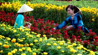 Nhộn nhịp du xuân những ngày đầu năm mới
