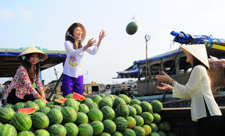 Kinh nghiệm chụp ảnh đẹp khi đi du lịch - Quang Ngai Tourist