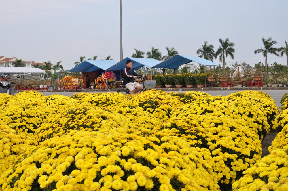 Du-xuan-Quang-Ngai(1)