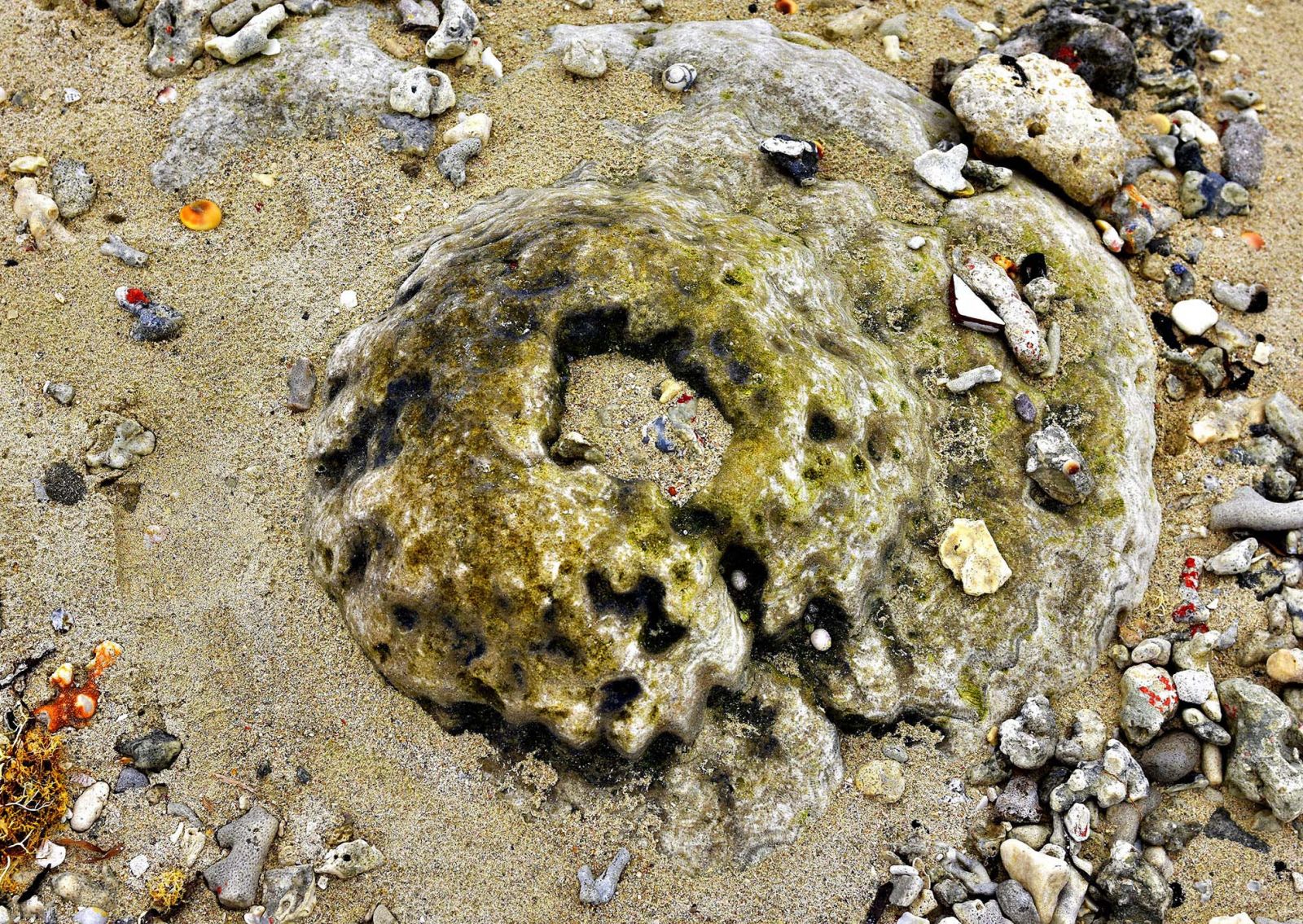 San-ho-dao-ly-son-quang-ngai-tourist