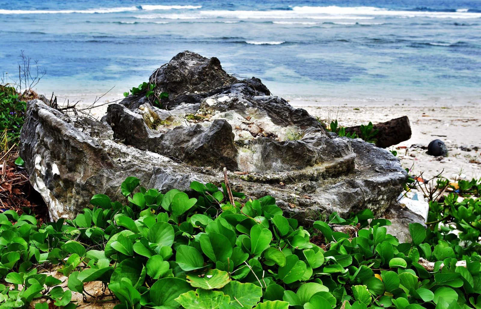 San-ho-dao-ly-son-quang-ngai-tourist