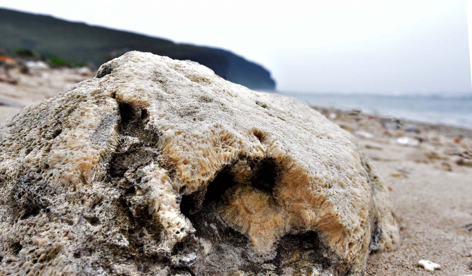 San-ho-dao-ly-son-quang-ngai-tourist