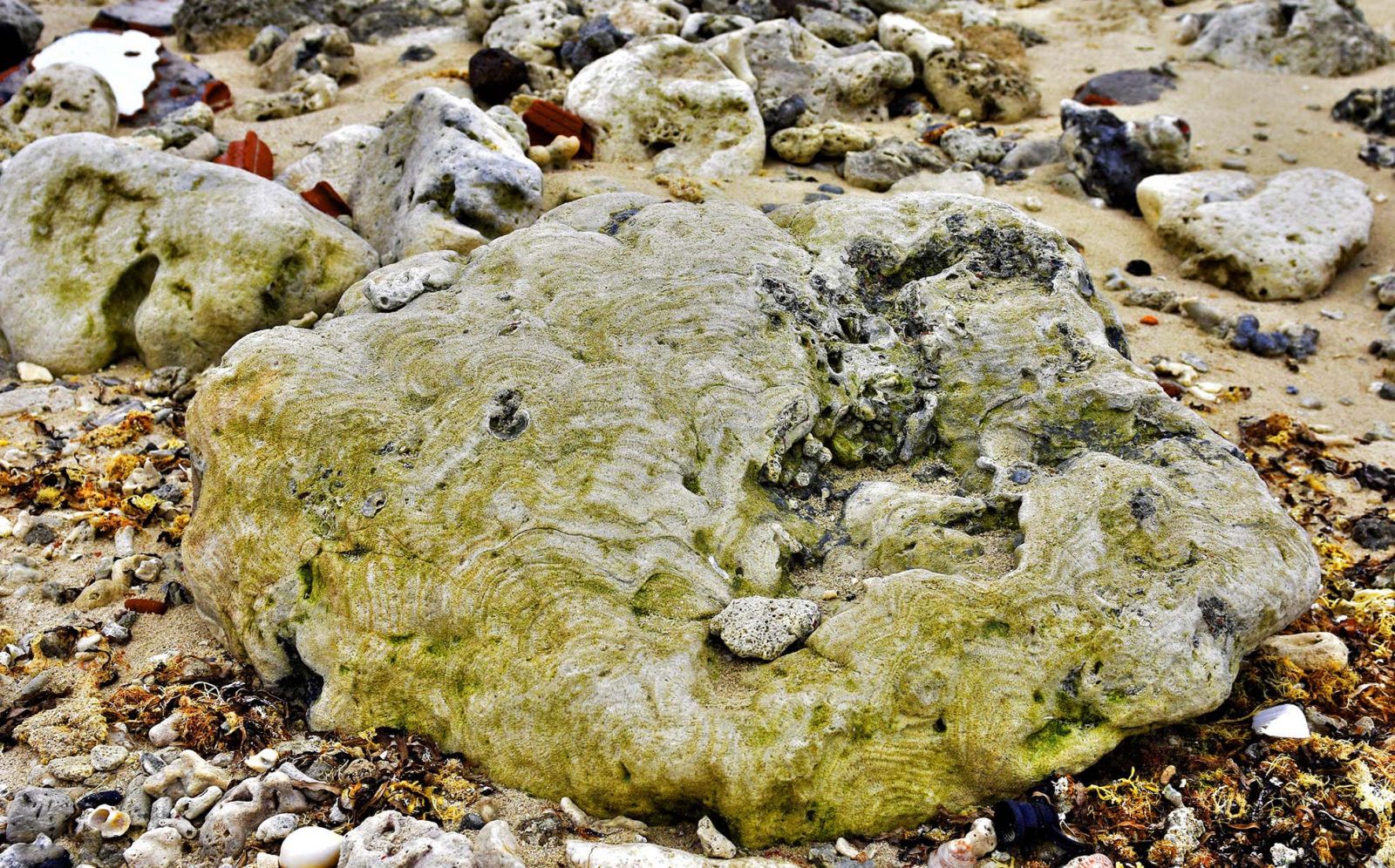 San-ho-dao-ly-son-quang-ngai-tourist