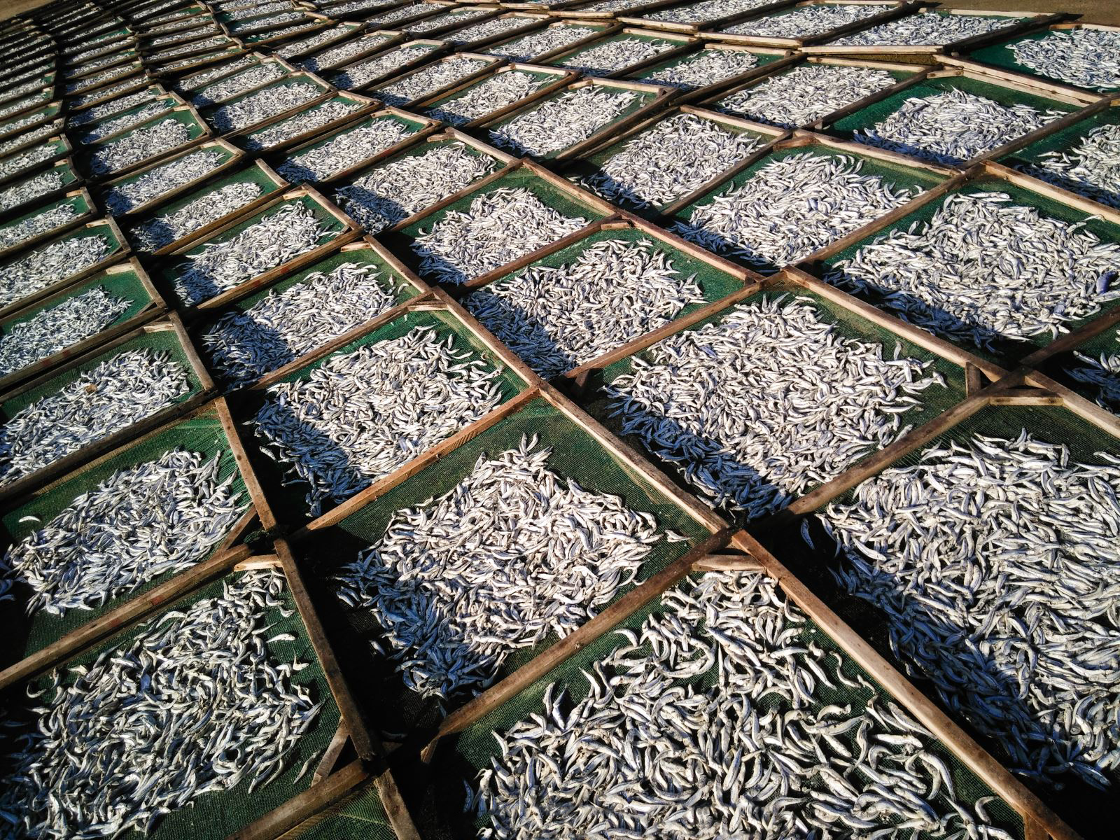 Thạch Kỳ Điểu Tấu - Quảng Ngãi