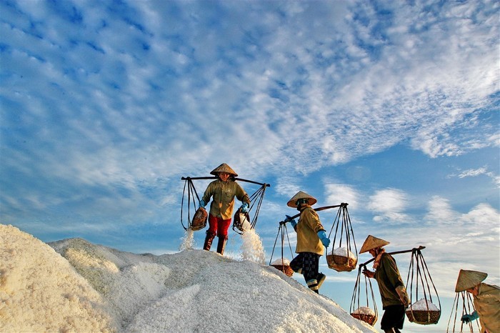 Cánh đồng muối Sa Huỳnh Quảng Ngãi