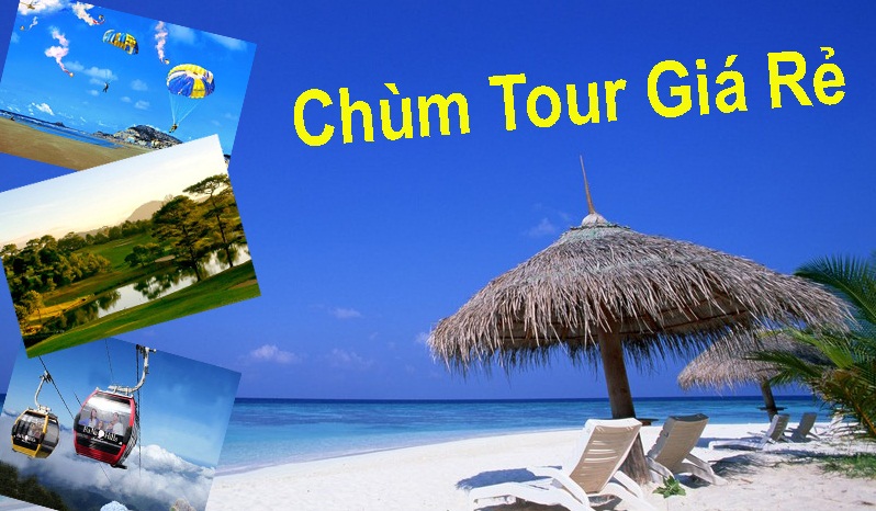Du lịch cuối năm - Quảng Ngãi Tourist