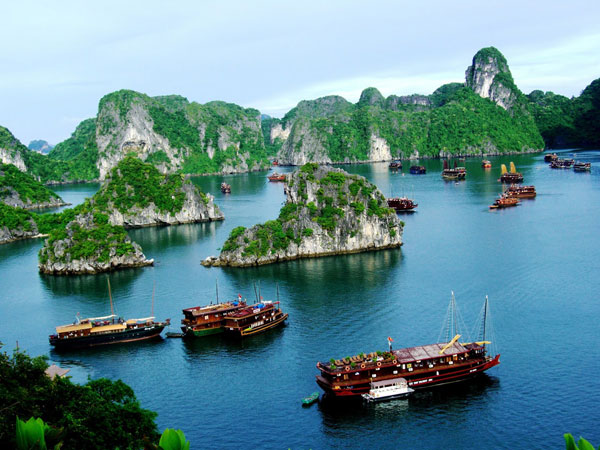 Cẩm nang du lịch - Quảng Ngai Tourist