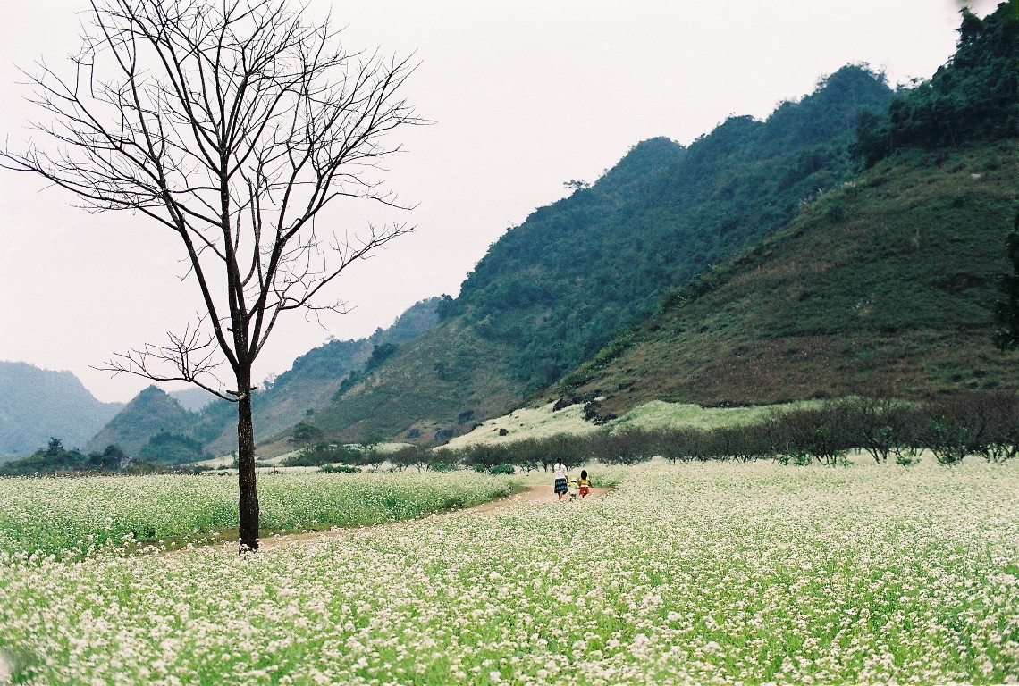 Kinh nghiệm du lịch mùa đông - Quang Ngai Tourist