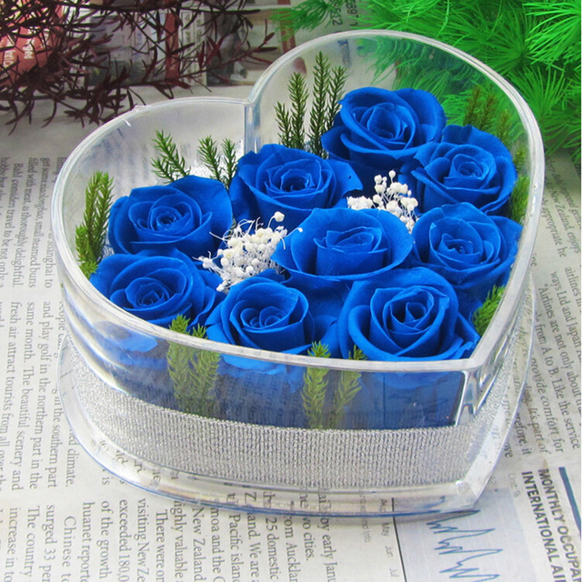 y-nghia-ngay-8-3-quang-ngai-tourist